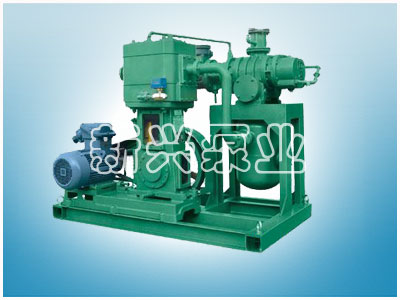 JZJW型羅茨-立式無(wú)油往復(fù)泵機(jī)組